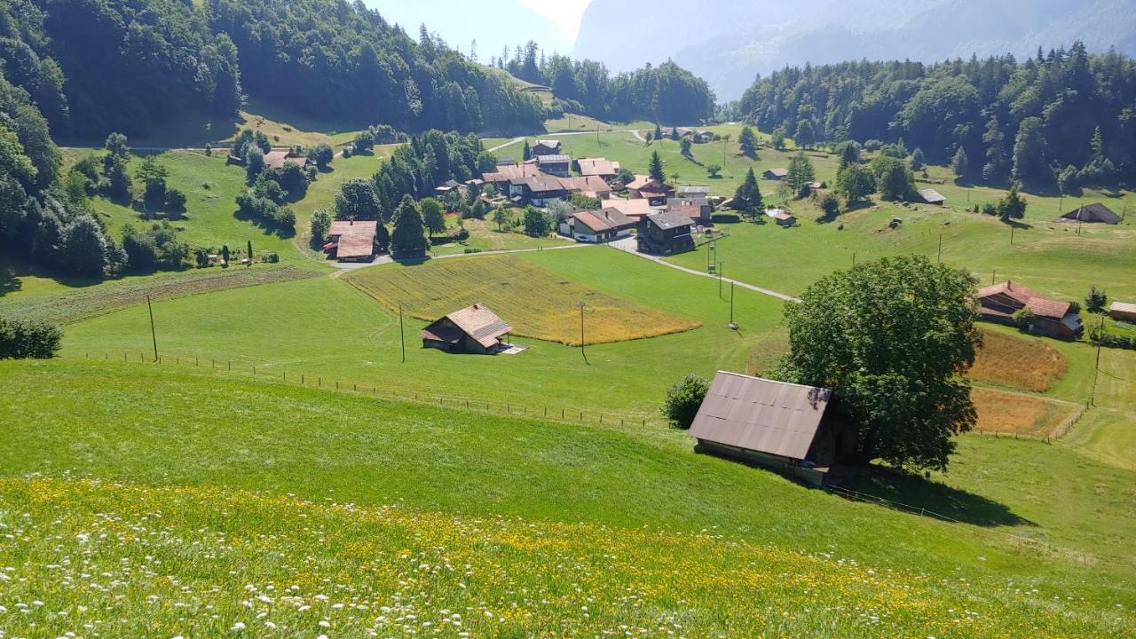 Chalet Bruenig Meiringen Extérieur photo
