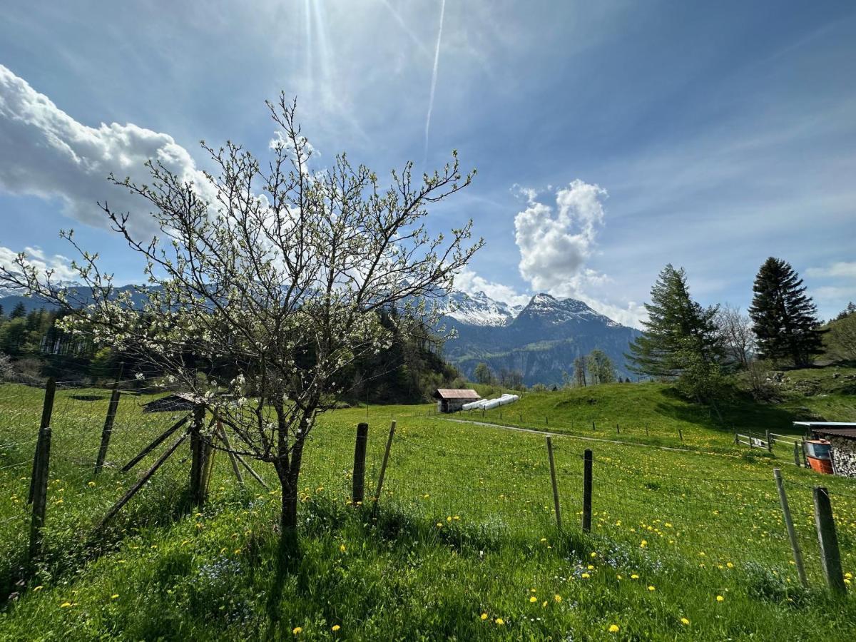 Chalet Bruenig Meiringen Extérieur photo
