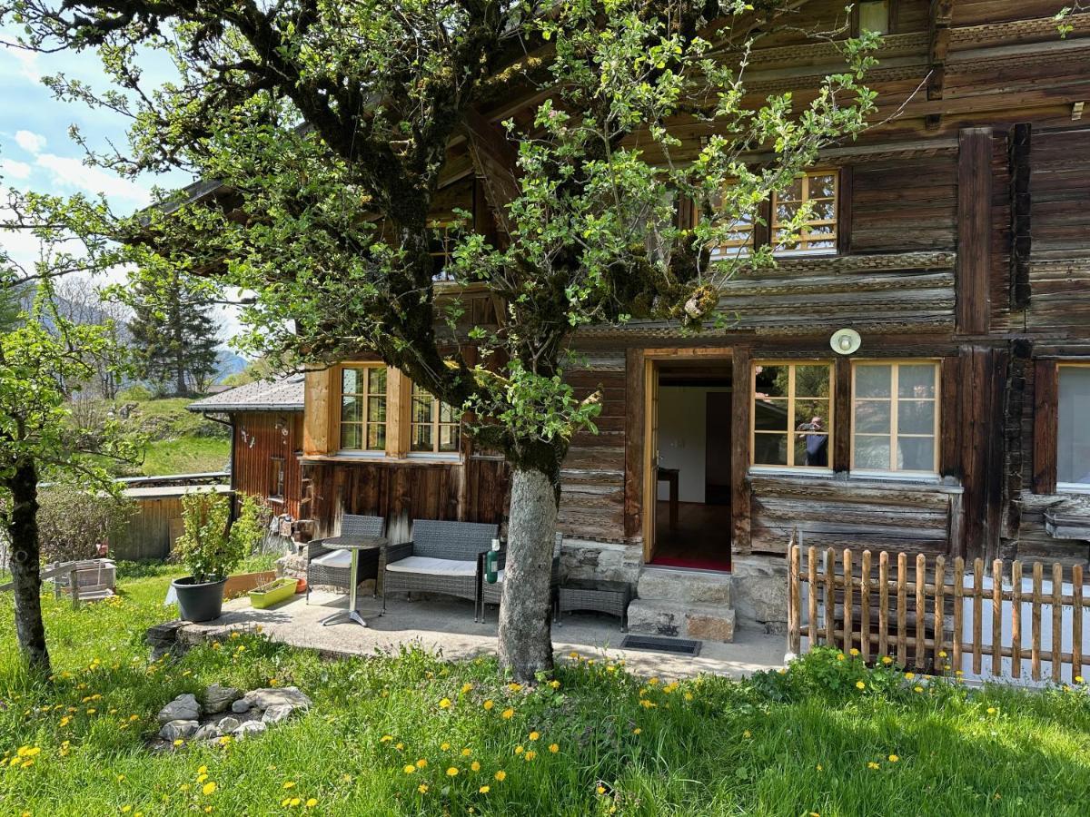 Chalet Bruenig Meiringen Extérieur photo