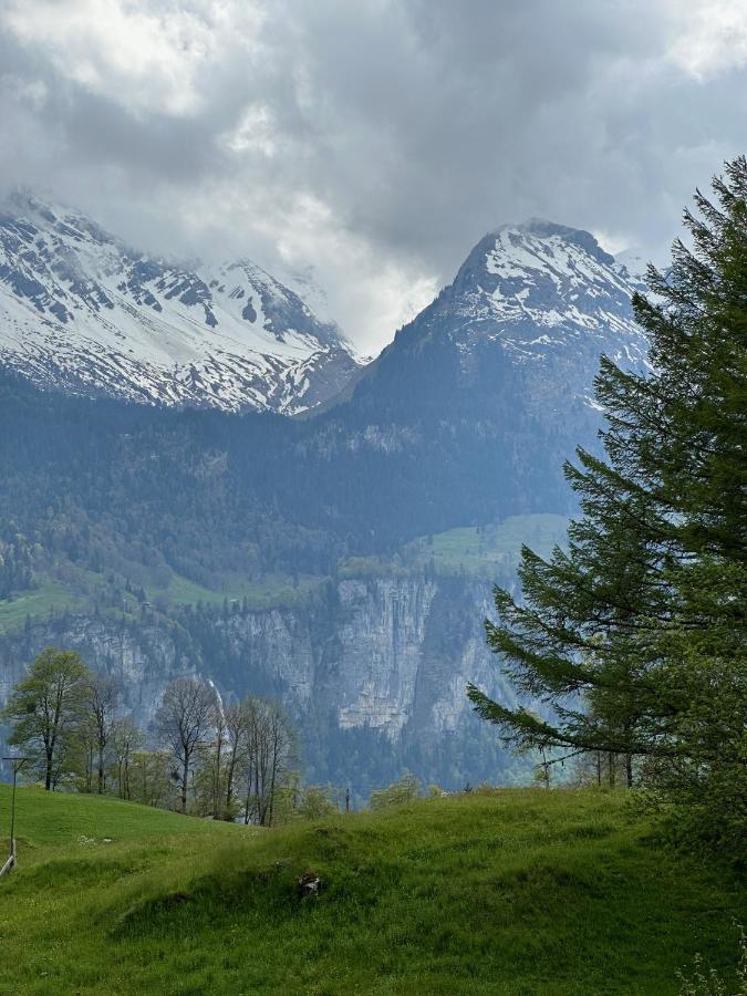 Chalet Bruenig Meiringen Extérieur photo