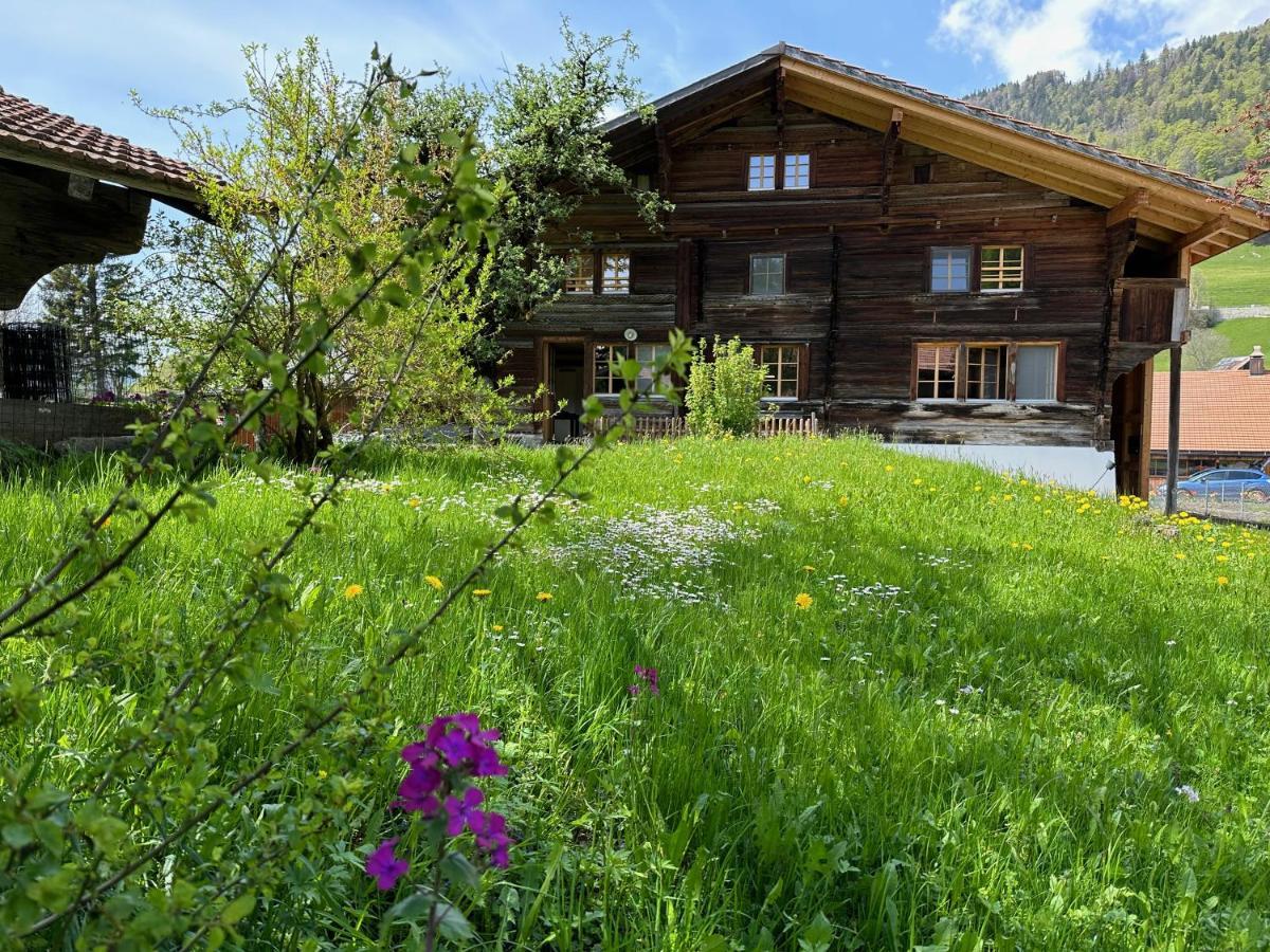 Chalet Bruenig Meiringen Extérieur photo