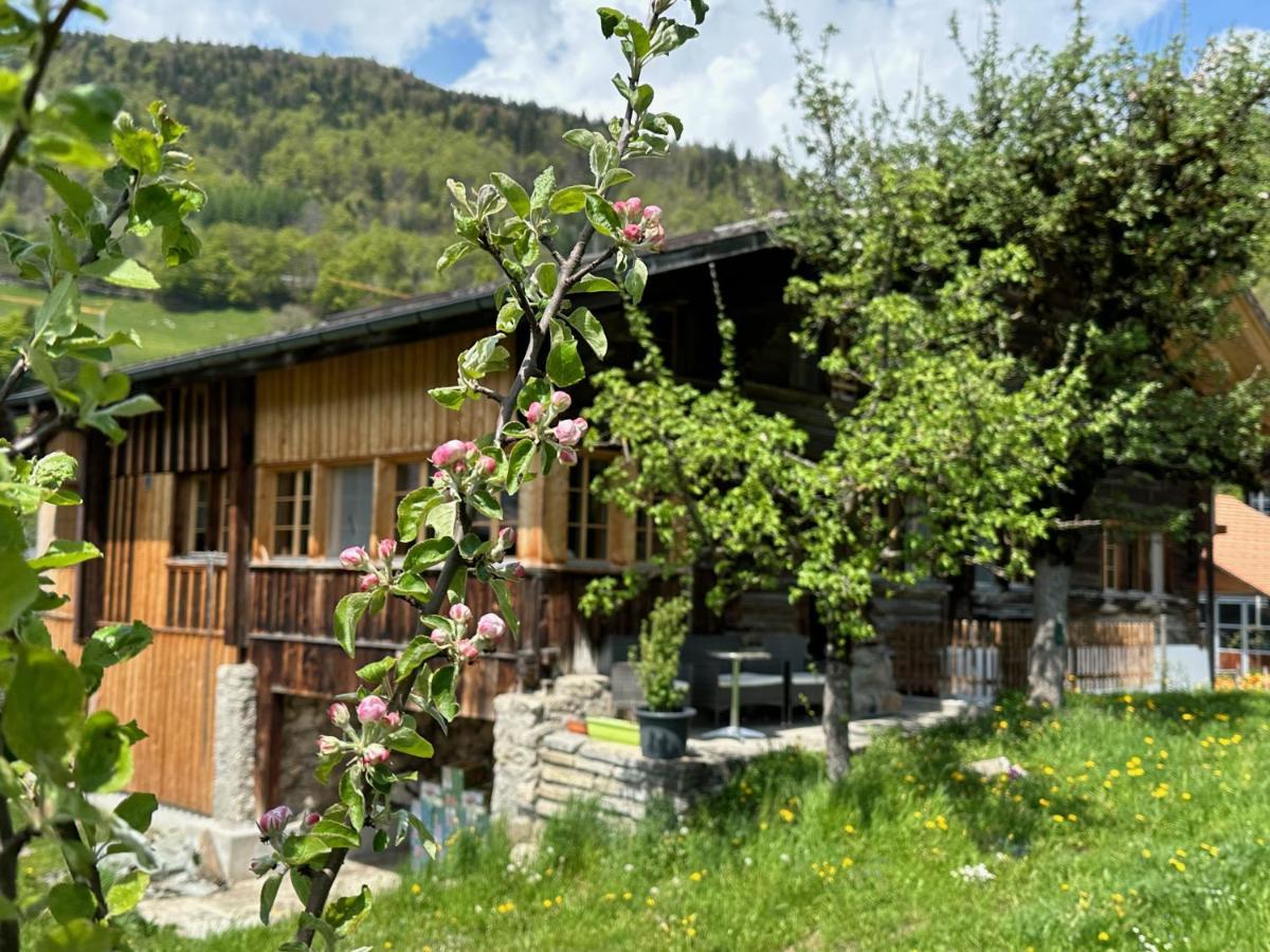 Chalet Bruenig Meiringen Extérieur photo