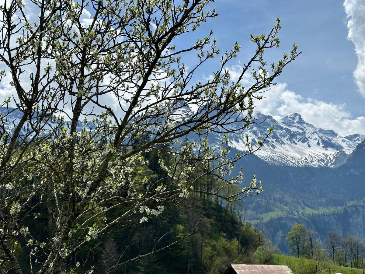 Chalet Bruenig Meiringen Extérieur photo