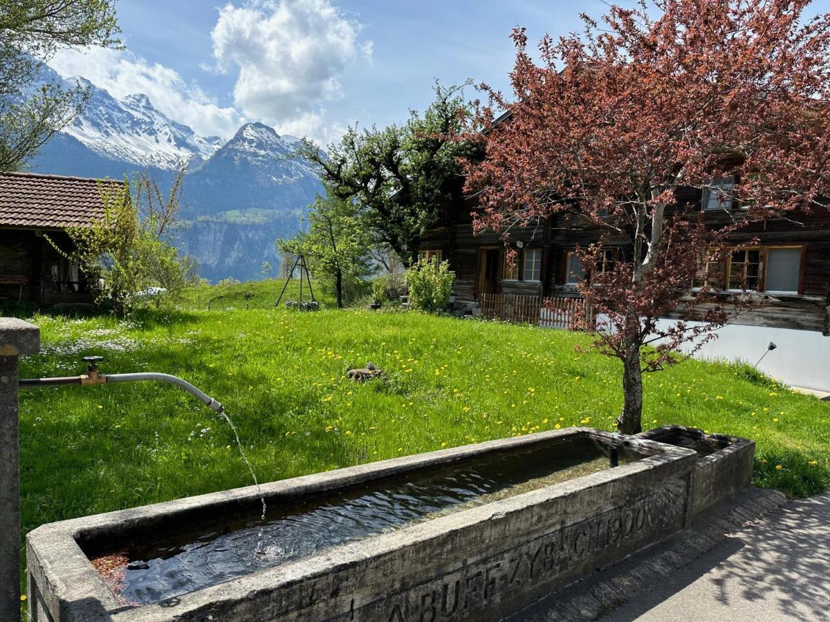Chalet Bruenig Meiringen Extérieur photo