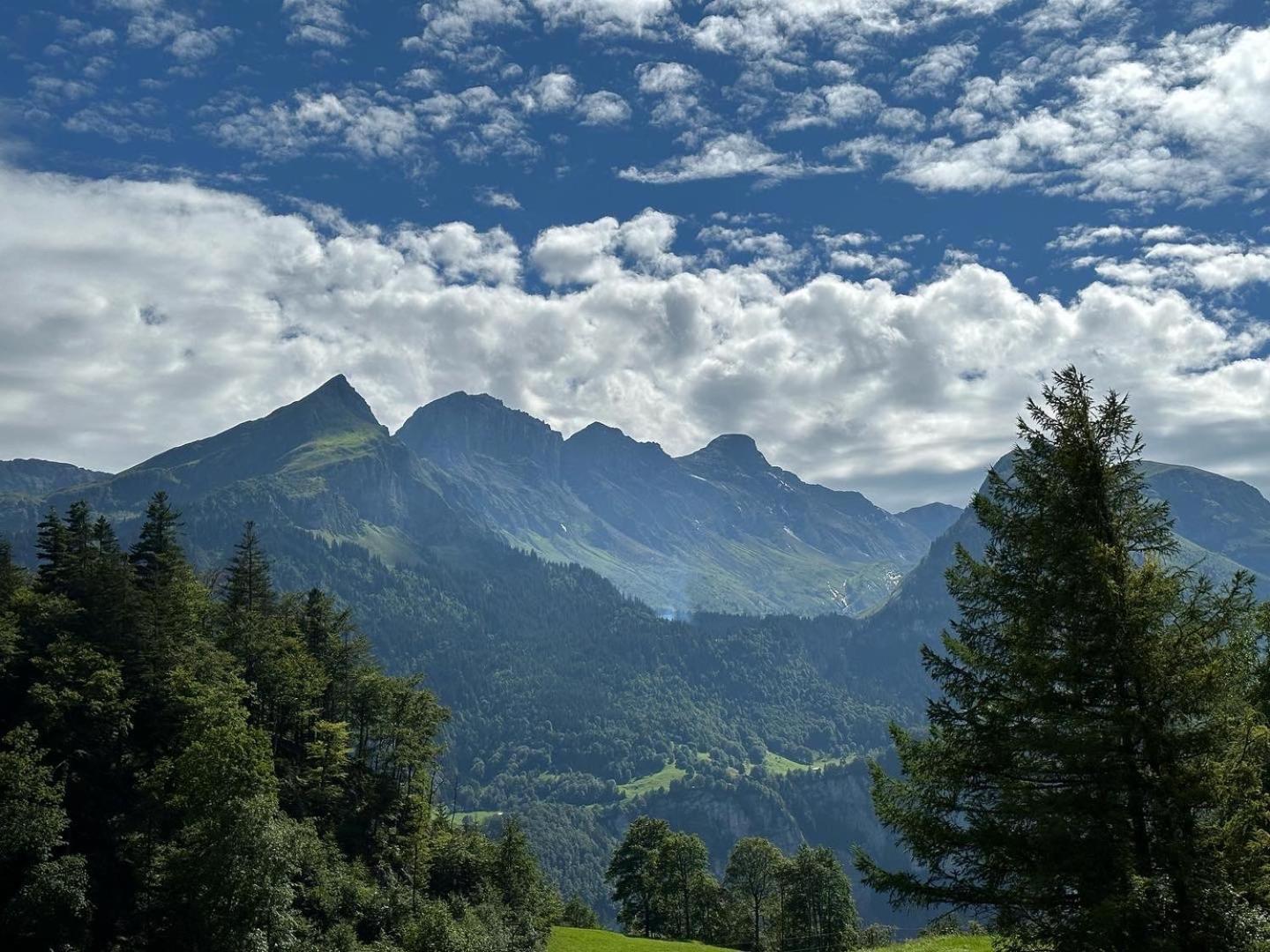 Chalet Bruenig Meiringen Extérieur photo