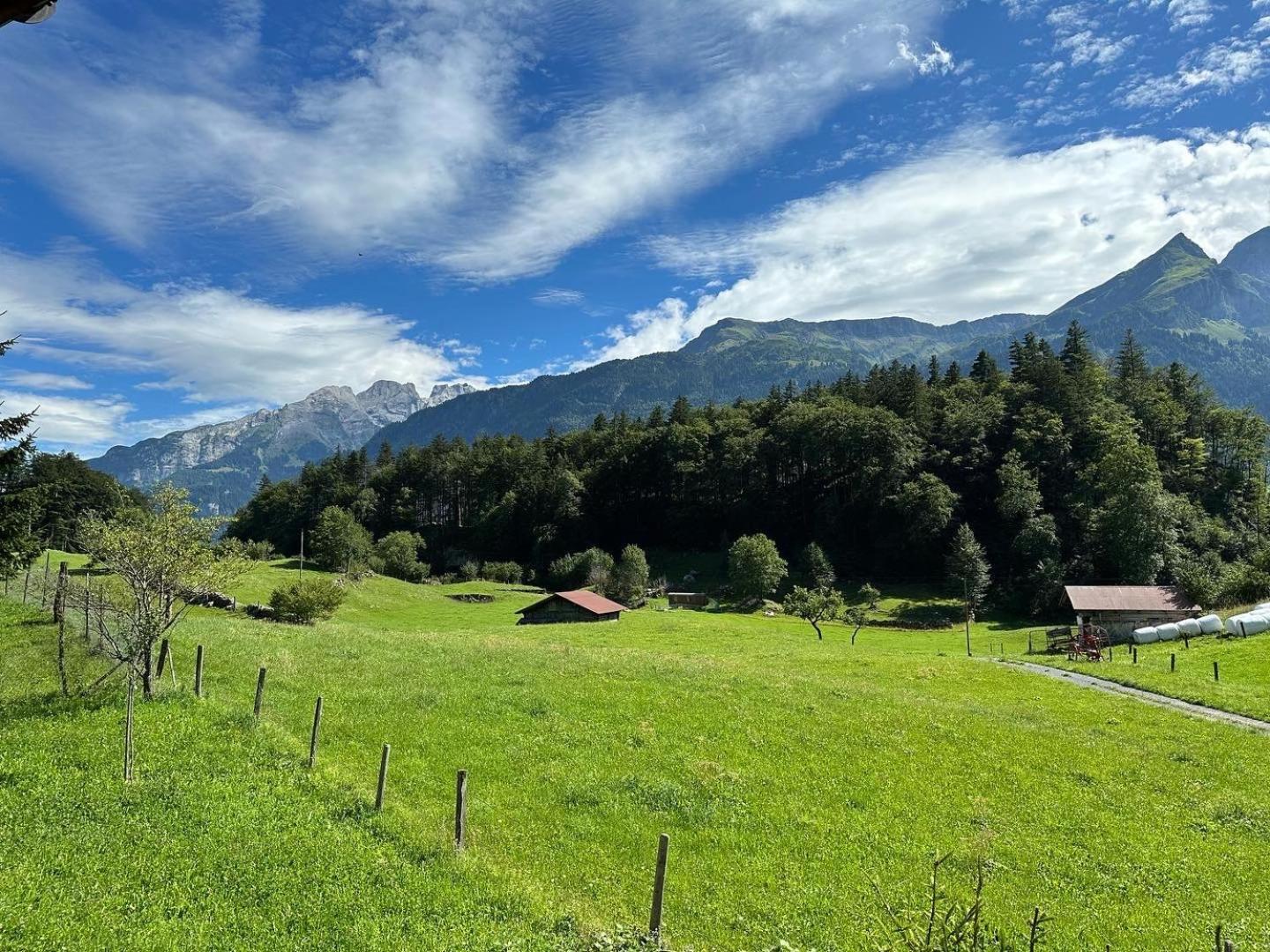 Chalet Bruenig Meiringen Extérieur photo