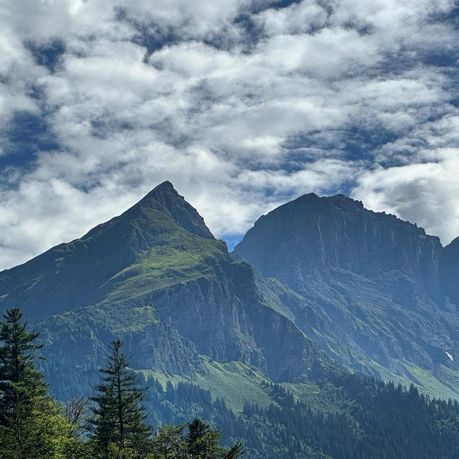 Chalet Bruenig Meiringen Extérieur photo